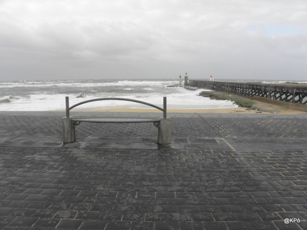 vieillir (et mourir avec ou sans covid) en chantant amsterdam!