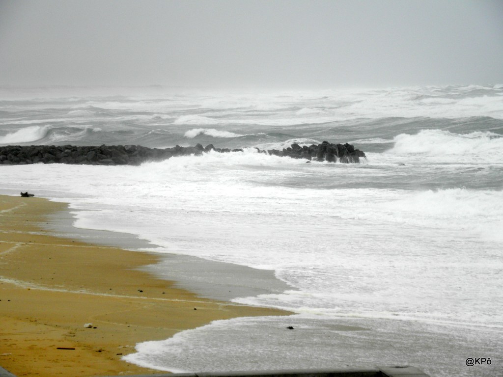 Les mardis de la poésie : Théophile Gautier&nbsp;(1811-1872)