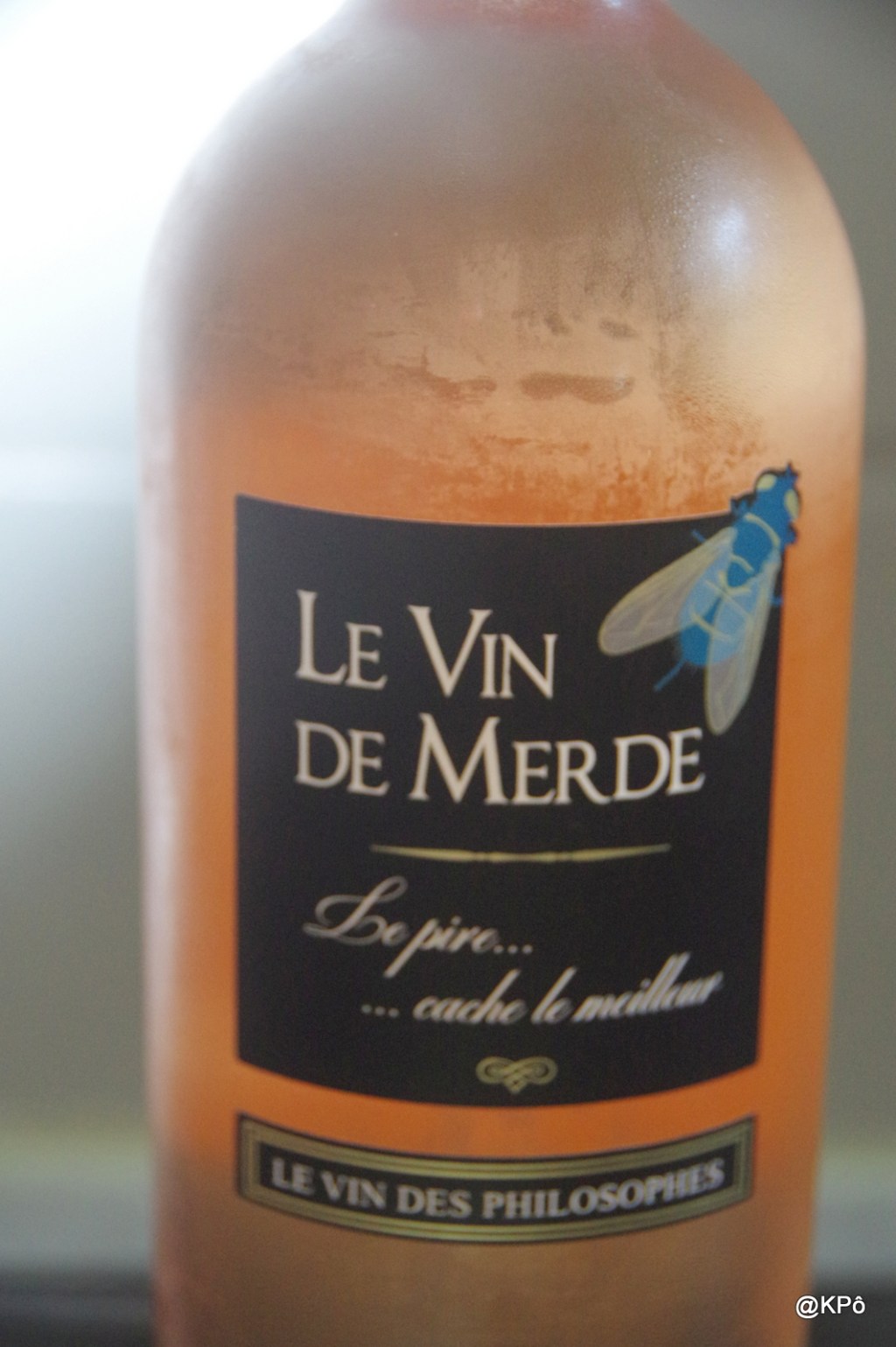 Souvenir d’une saison dans les vignes. (le con du Gard)