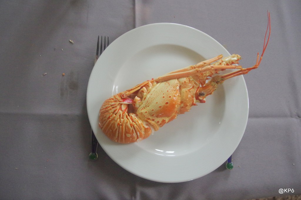 Le sourire de&nbsp;l&rsquo;agneau