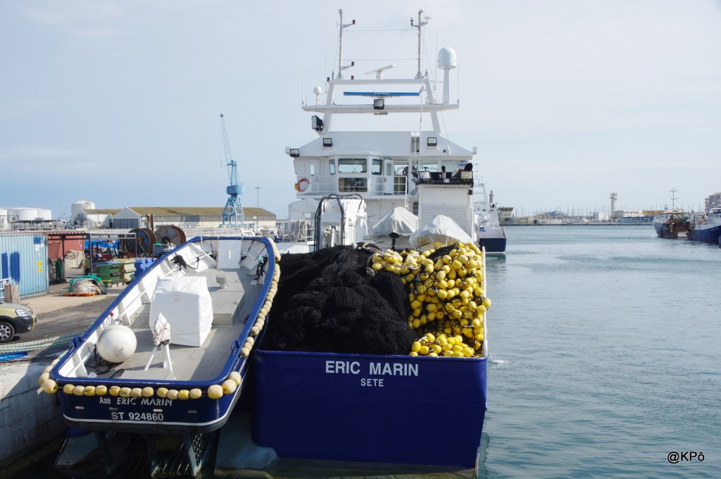 Frontières grisantes de la&nbsp;nuit