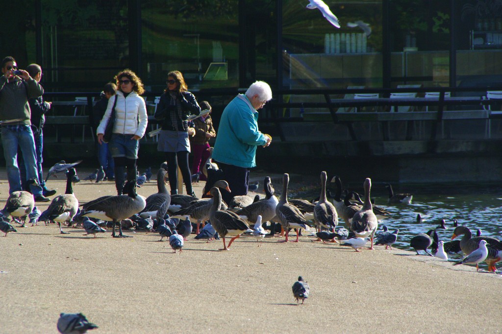 Petits oiseaux, prêtez-nous vos ailes&nbsp;!
