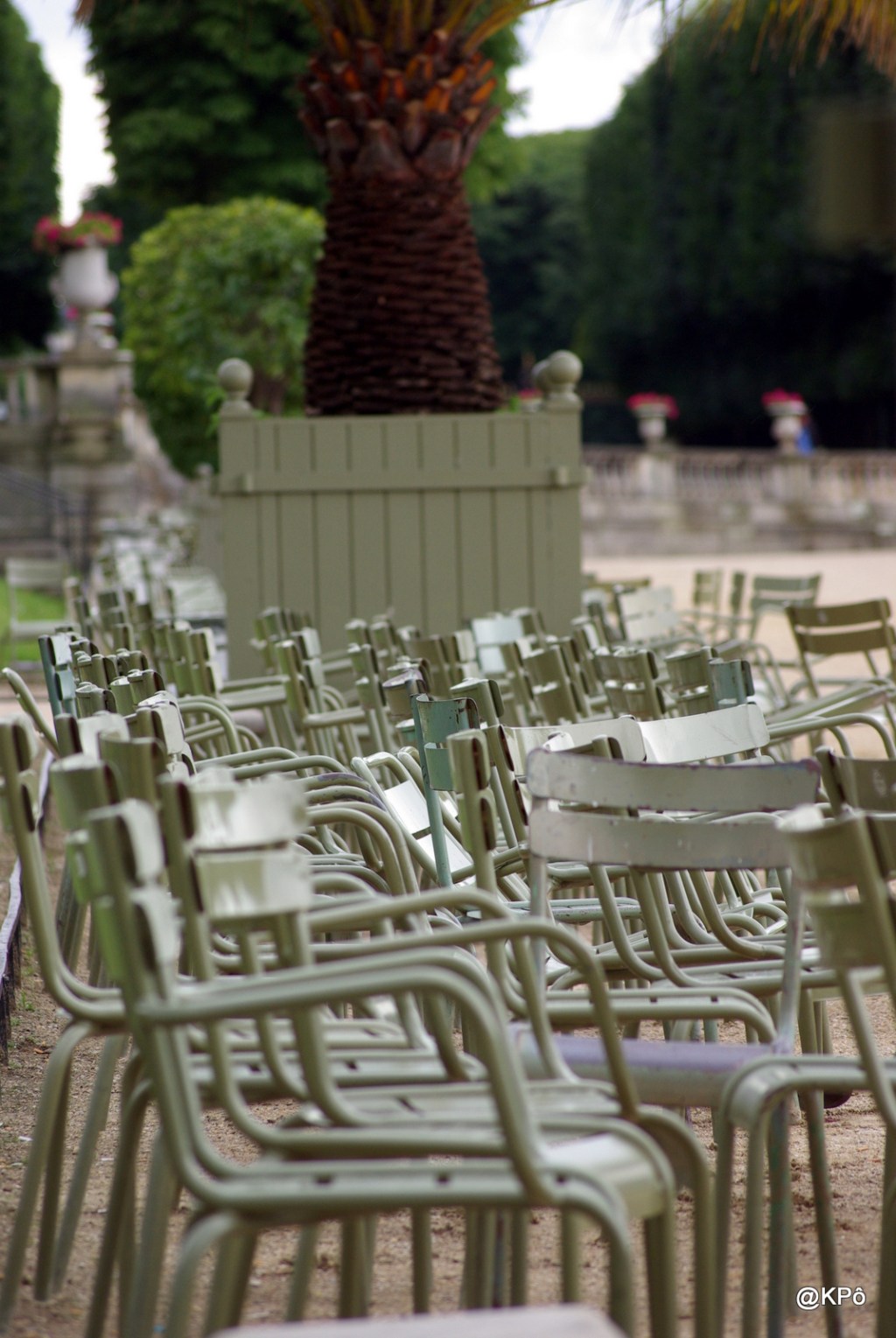 Les mardis de la poésie : Félix Arvers (1806-1850)