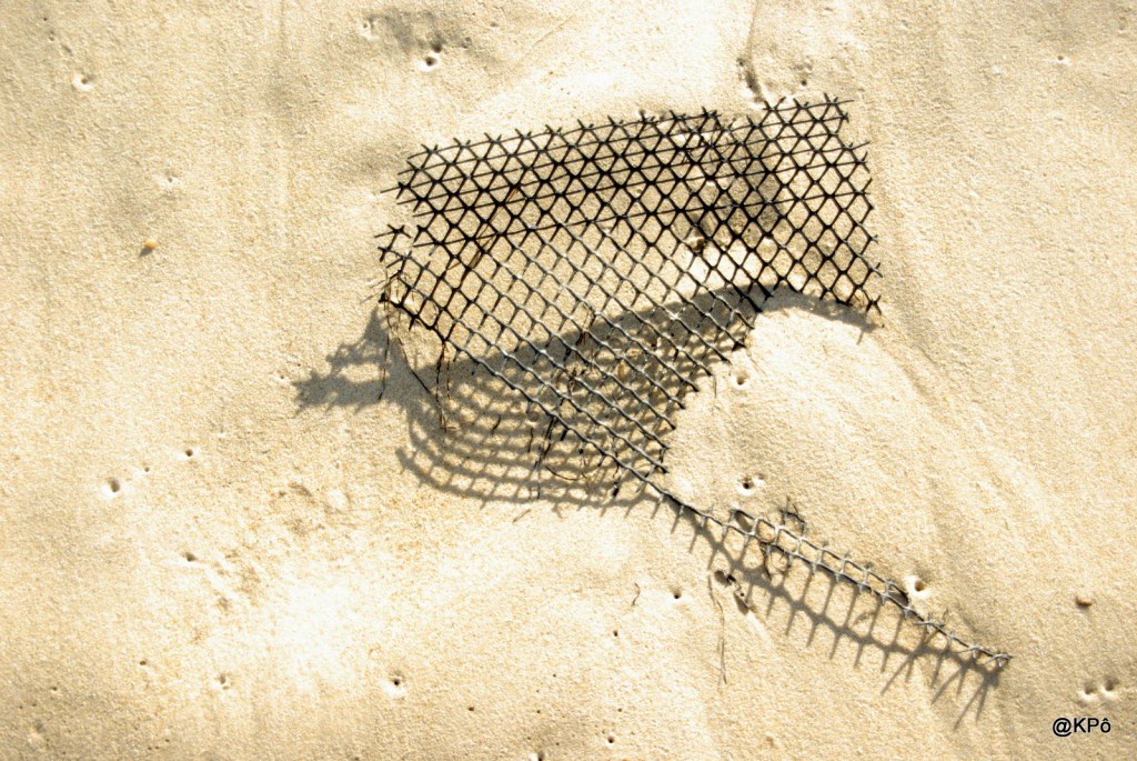 Les mardis de la poésie : Luis Bénitez&nbsp;(1956-…)