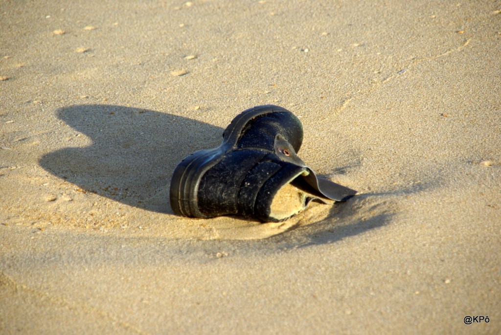 Un soir avec Hubert Félix&nbsp;Thiéfaine