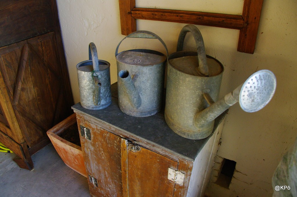 Comment bassiner les lavandières avec un petit arrosoir