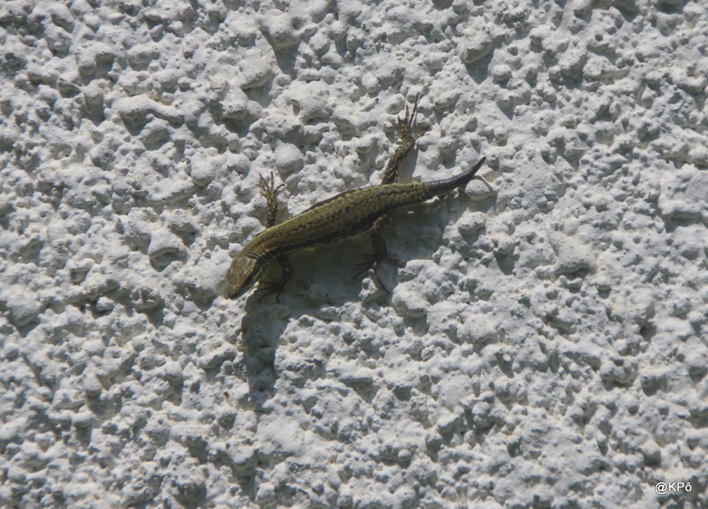 Homme, encore un&nbsp;effort!