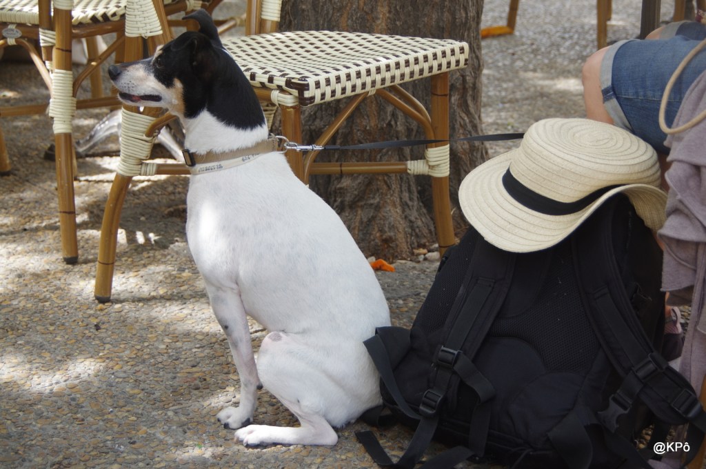 Une affaire simple et tranquille de tous les&nbsp;jours.