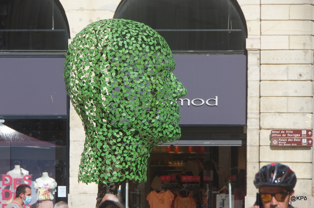 Sciez la branche sur laquelle est assis l&rsquo;homme&nbsp;!