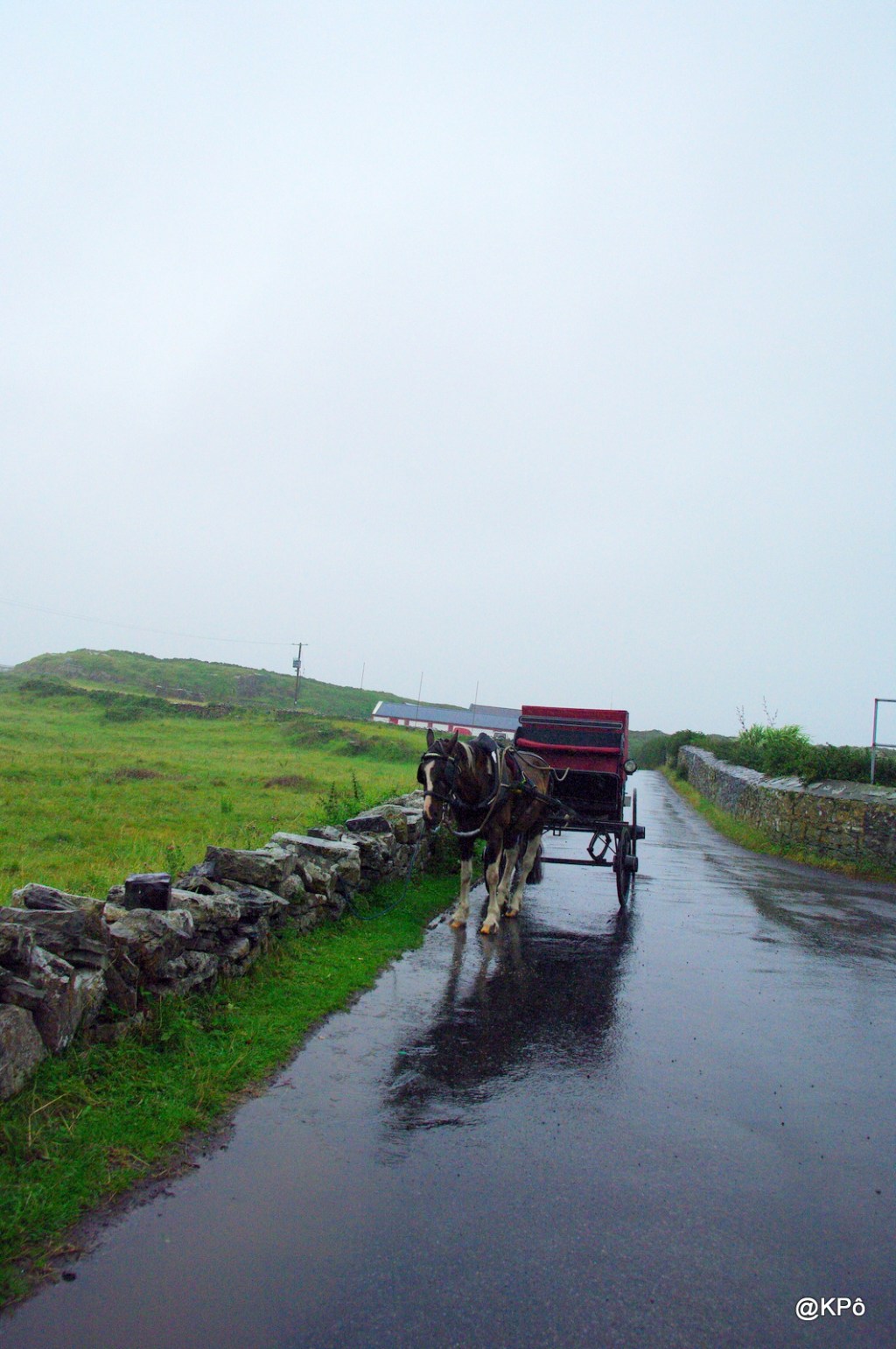 Un peu de musique spécial sauvageon(ne)s&nbsp;!