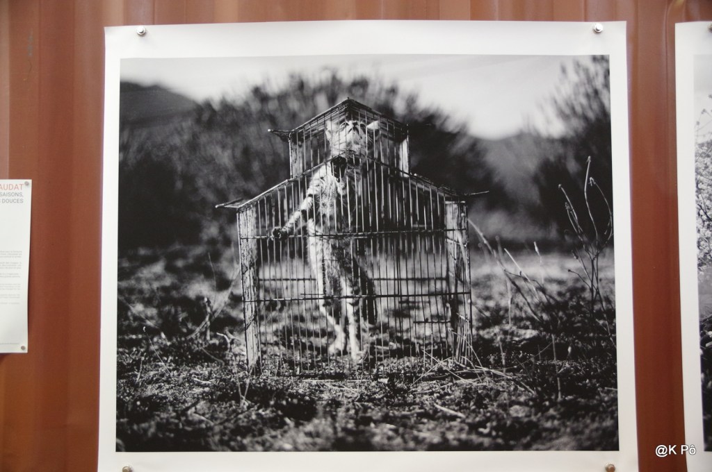 Chant diphonique (Mongolie) et cornemuses latvianes (Lettonie)…Une page musicale pour la fin d&rsquo;après midi&nbsp;!