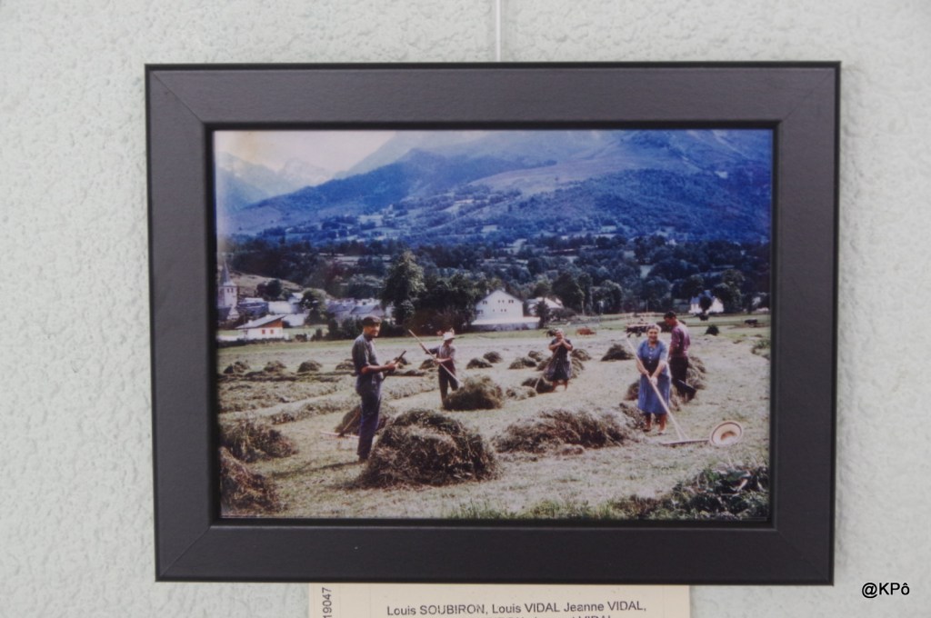 Lu dans les journaux : les Monique qu&rsquo;on n… et les  Jason rois du&nbsp;charbon.