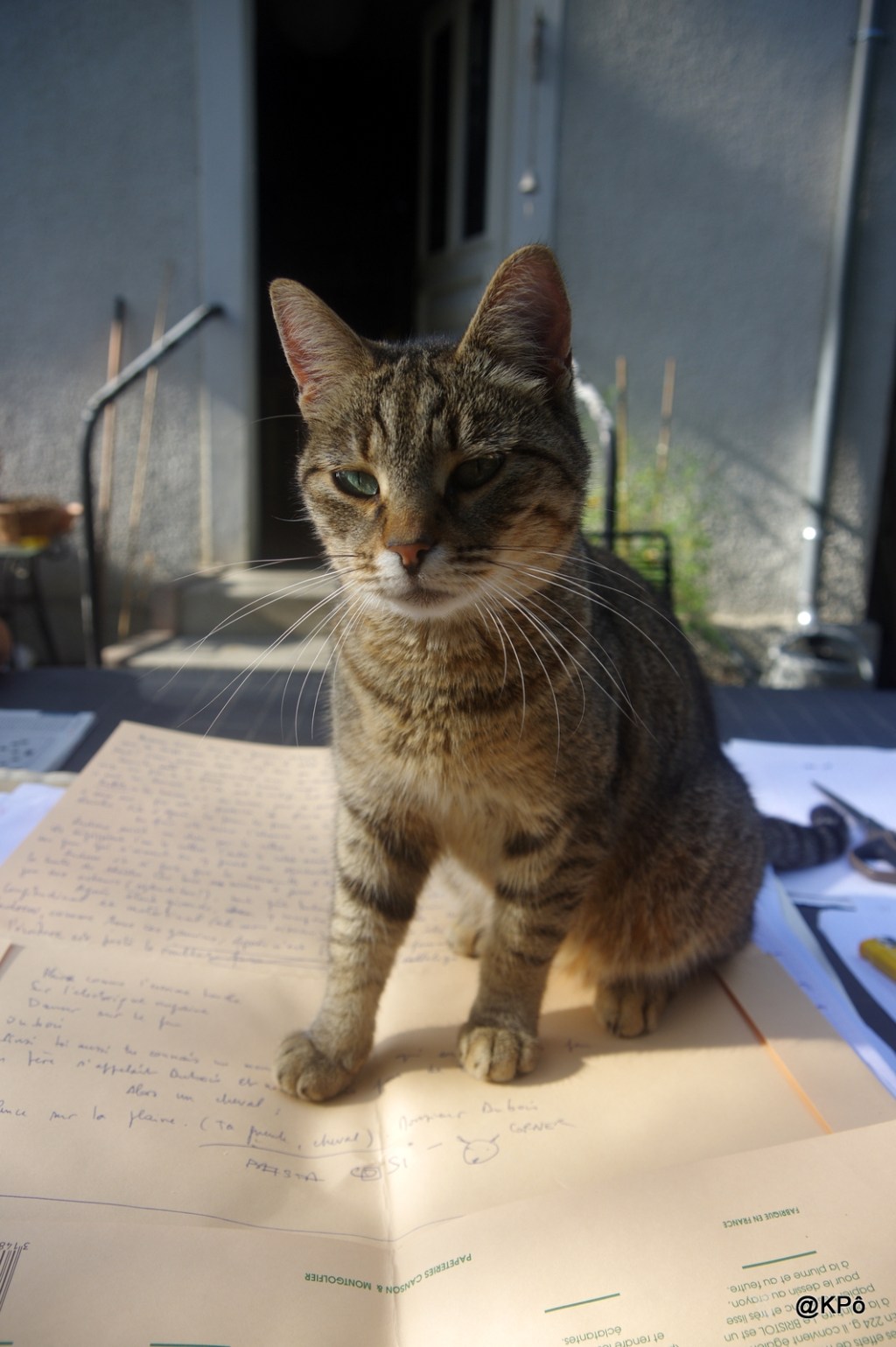 On ne peut pas être partout en même temps mais les petits tout traversent le&nbsp;temps.