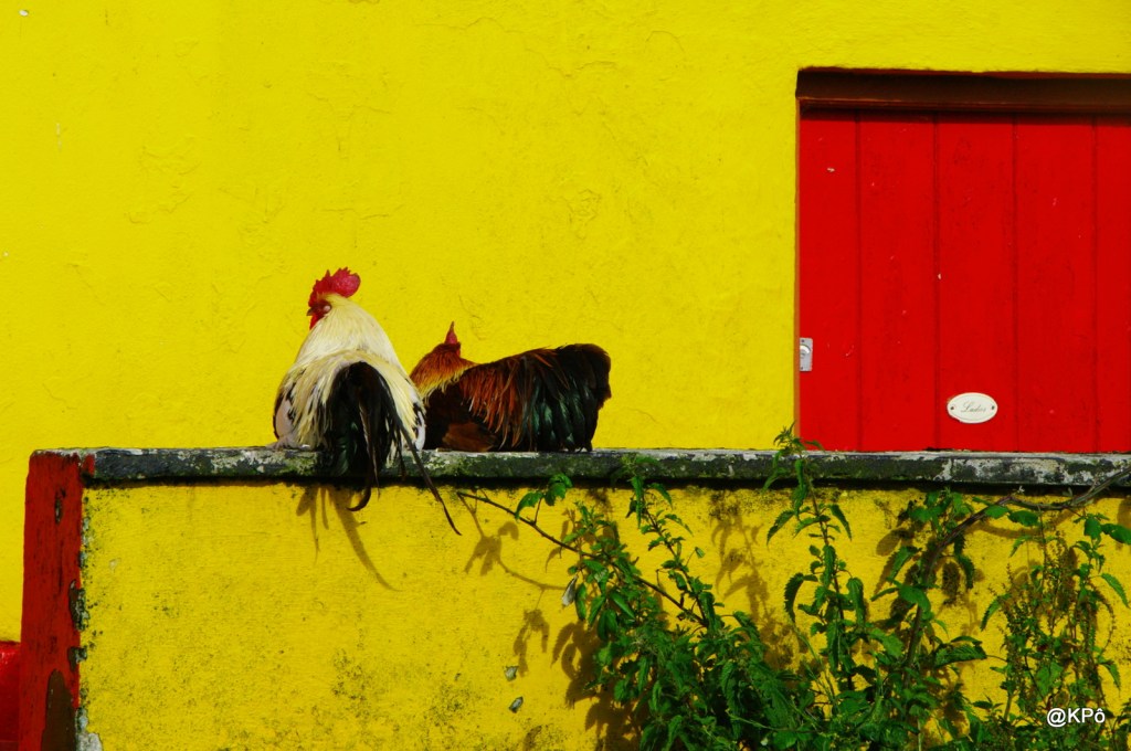 Jour d&rsquo;asphalte (26)