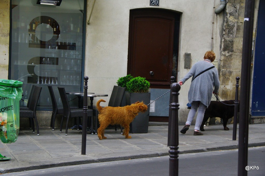 En avril prochain, votez&nbsp;Goguettes!