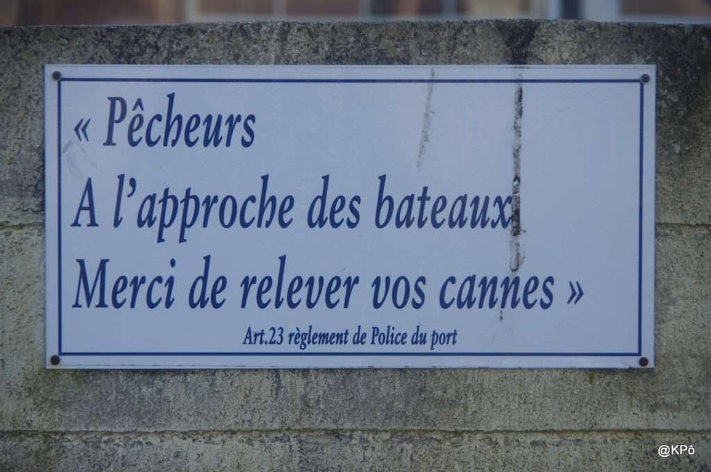 Une histoire à l’eau de rose