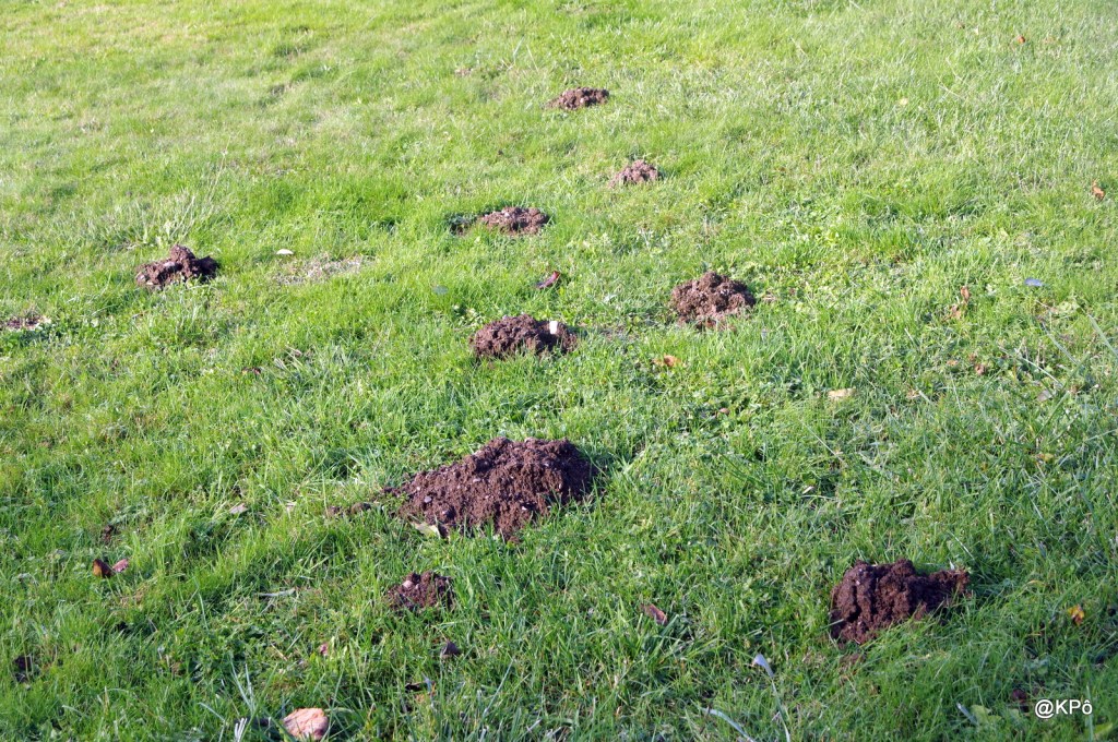 Mort clinique ou stratégie (climatique)&nbsp;?