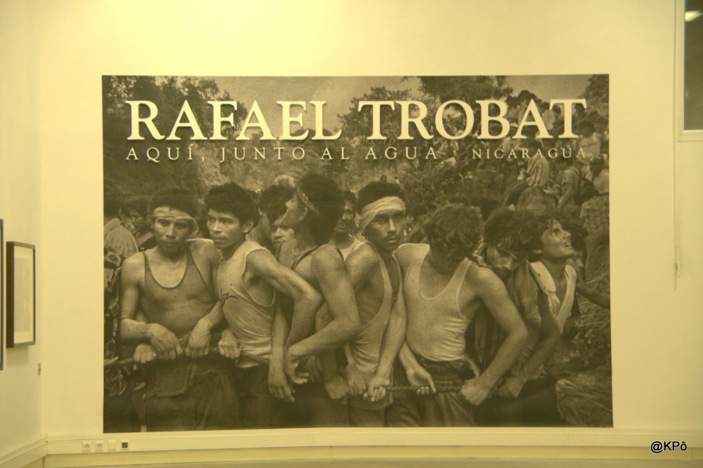 Alouettes, gentilles alouettes…