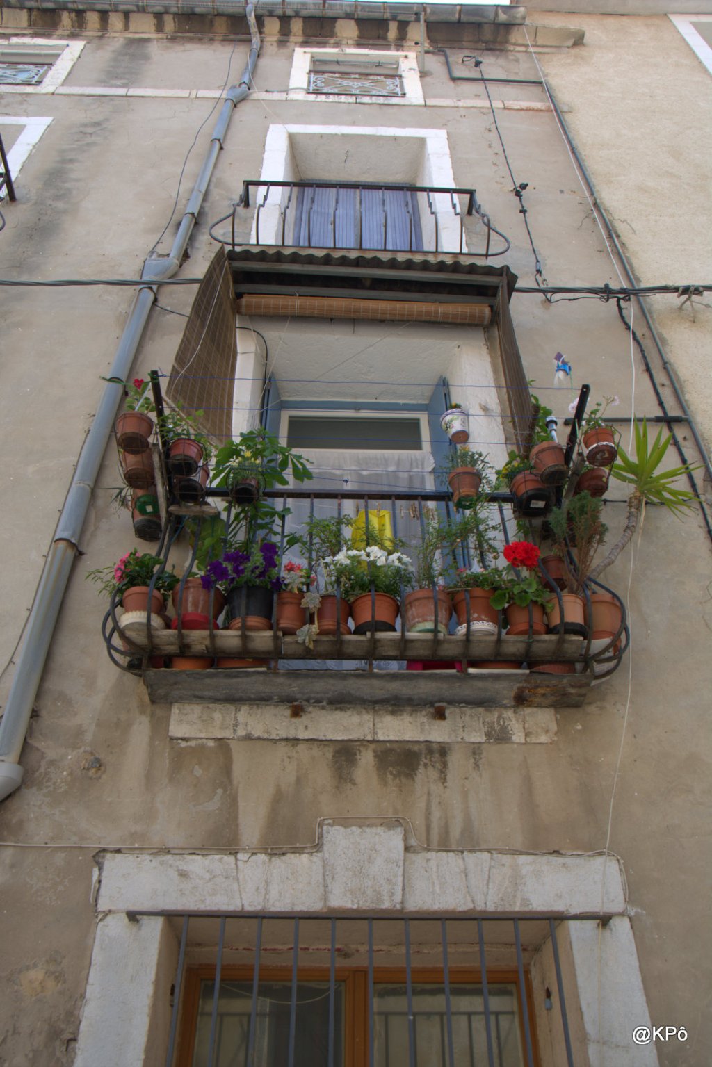 Visite de l&rsquo;étrange et gigantesque manoir de Sarah&nbsp;Winchester.