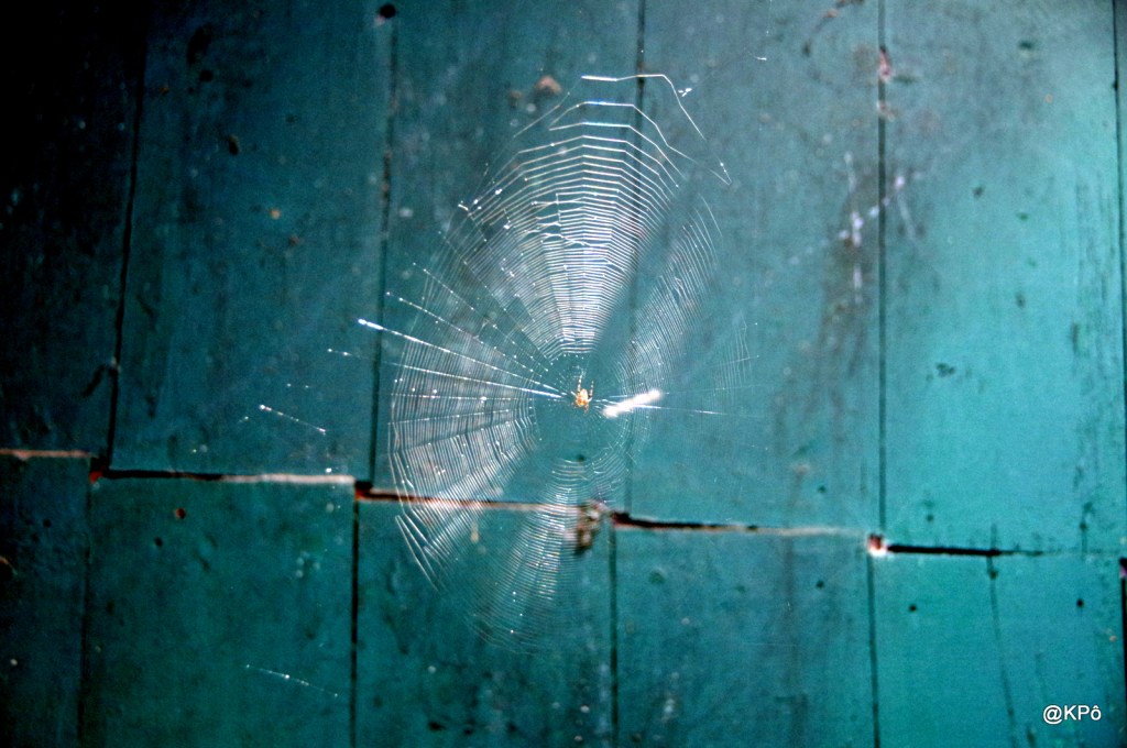 Détournement pacifique d&rsquo;un continent en&nbsp;guerre