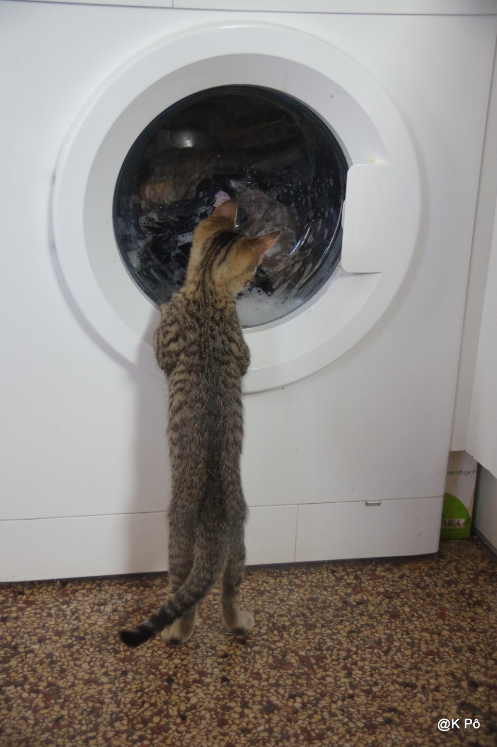 Pâques et pas que toi, ou&nbsp;presque!