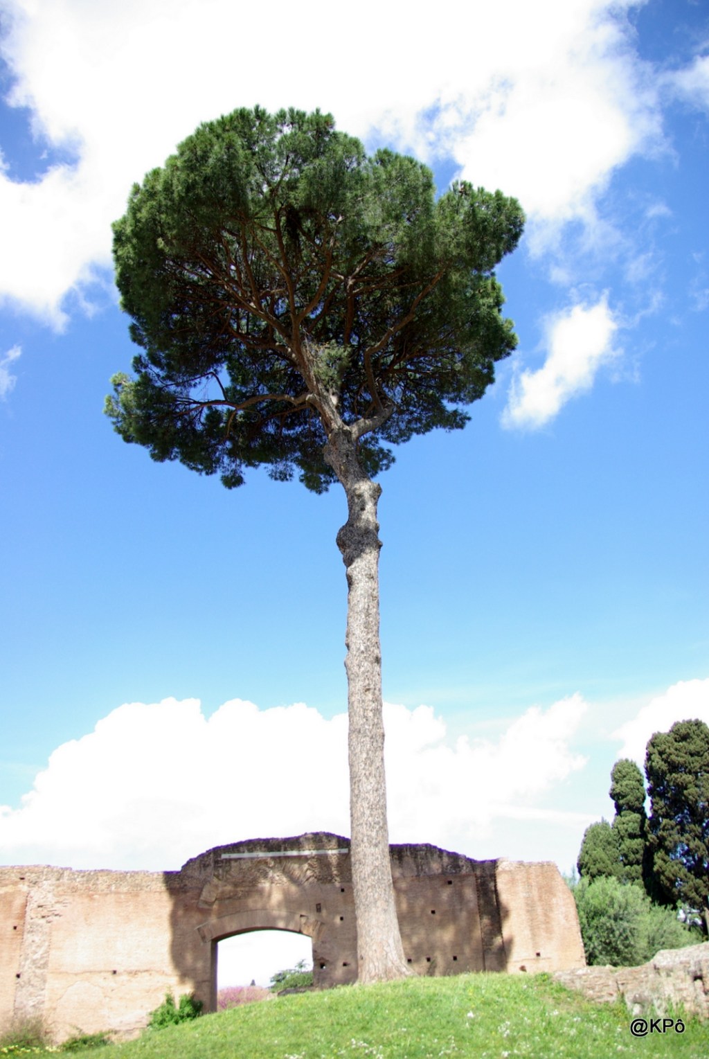 Les mardis de la poésie : Giuseppe Ungaretti&nbsp;(1888-1970)