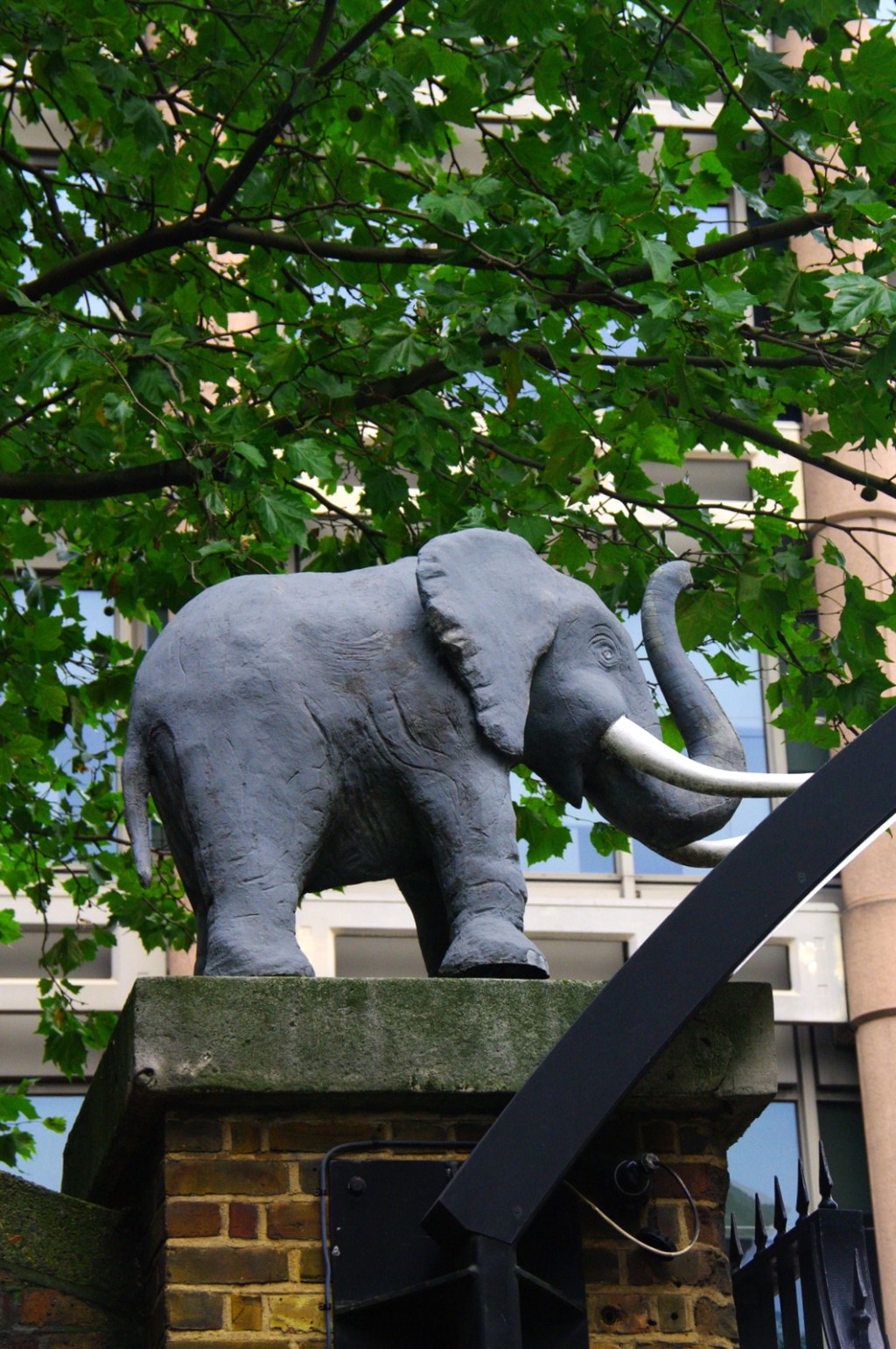 Un éléphant dans la cervelle